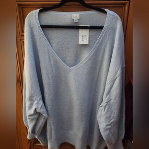 A NEW DAY Women's Plus Size Light Blue V-Neck Sweater